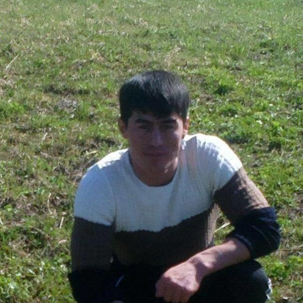 Делов алий. Делов алий