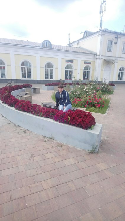 Камбарка чайковский. Камбарка чайковский