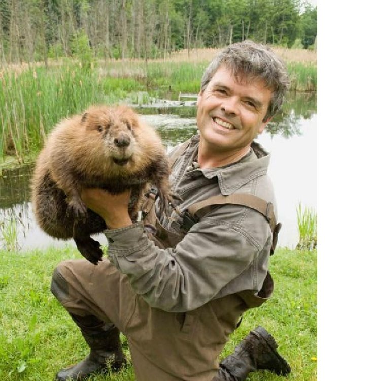 Квадрабоберы видео. Опасно встретиться на речке с бобром. День бобра игра. Игра бобры настольная. Квадрабоберы видео.