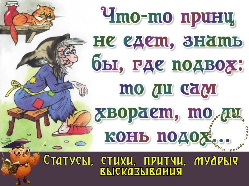 Жду принца на белом. Жду принца на белом коне. Стихотворение про принца на белом коне. Ждала принца на белом коне а пришел почтальон и принес пенсию. Одна девушка ждала принца на белом коне а пришел.